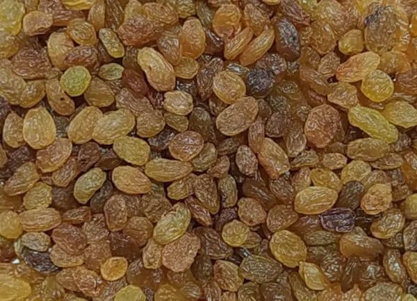 کشمش شهدانه طلائی - تصویر 4